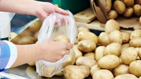 В Минсельхозе заявили о снижении импорта картофеля на 20%